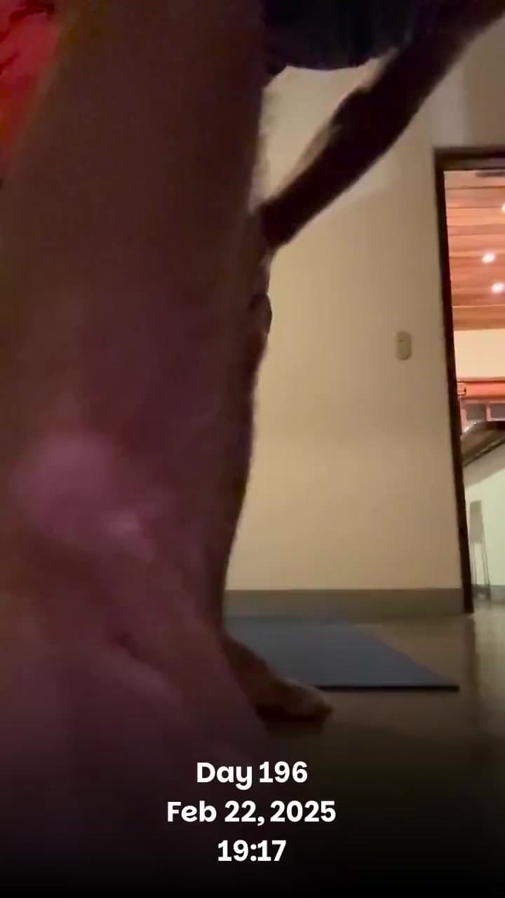 Video from Feb 22, 2025. Total time: 19:17